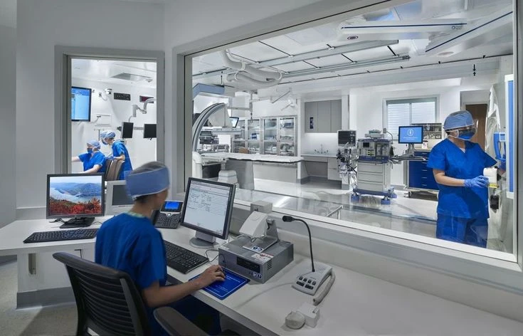 Close-up of a doctor typing on a laptop with medical data
